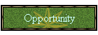 Opportunity